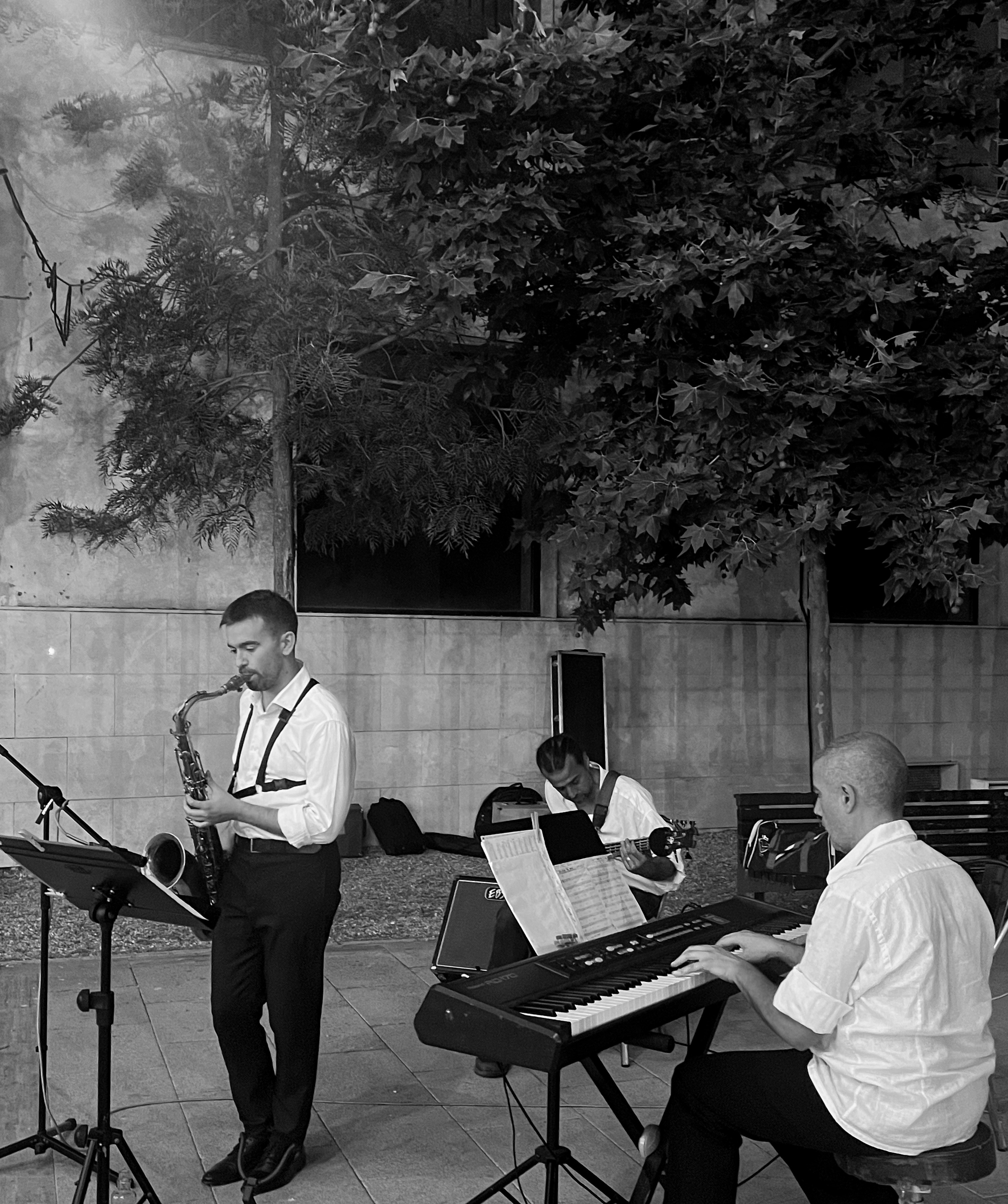 Jazz and Friends actuando en el Casino Eldense